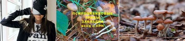 альфа пвп Арсеньев