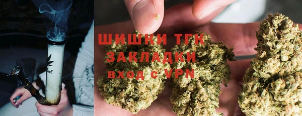 твердый Аркадак