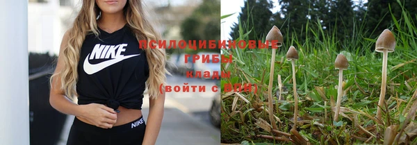 твердый Аркадак