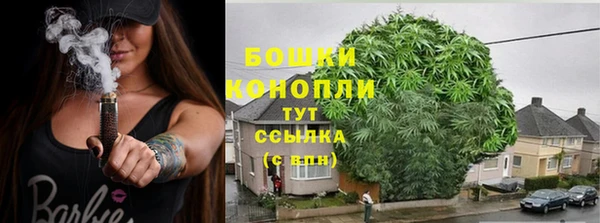 твердый Аркадак