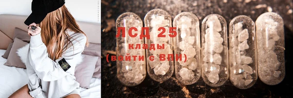 твердый Аркадак