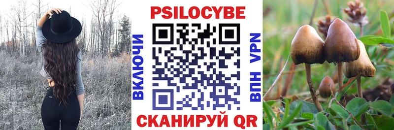 Псилоцибиновые грибы Magic Shrooms блэк спрут вход Сасово